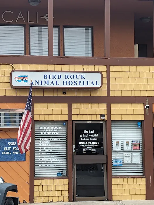 Bird Rock Animal Hospital 12
