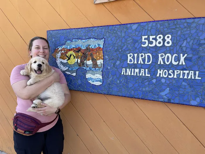 Bird Rock Animal Hospital 12
