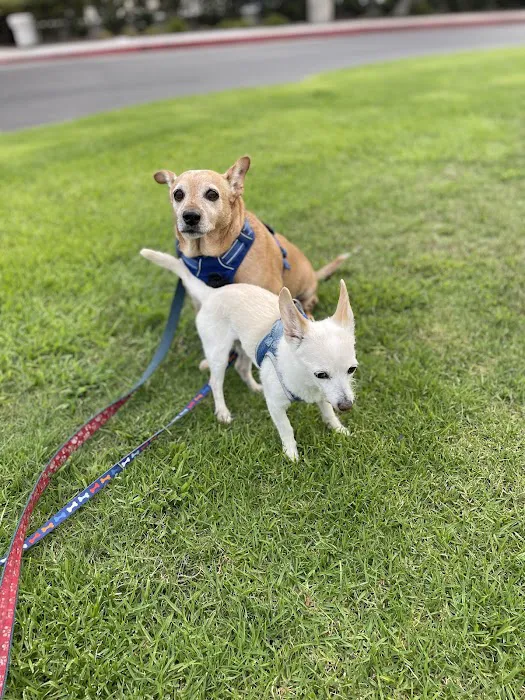 La Jolla Veterinary Hospital 12