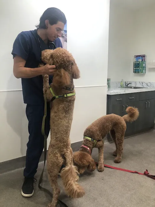 La Jolla Veterinary Hospital 12