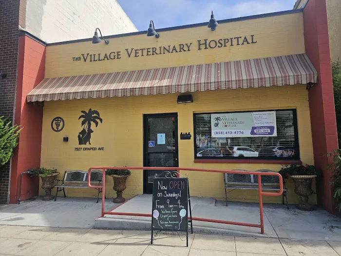 Village Veterinary Hospital La Jolla 3
