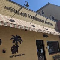 Village Veterinary Hospital La Jolla ico