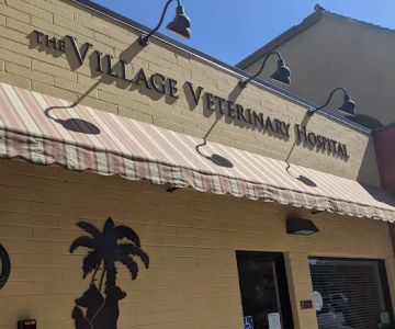 Village Veterinary Hospital La Jolla