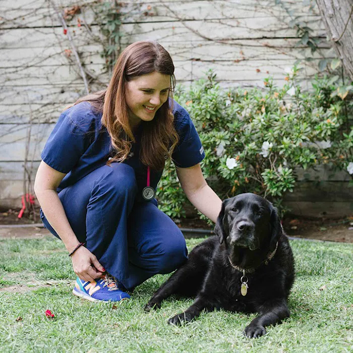 Balanced Pet Vet 12