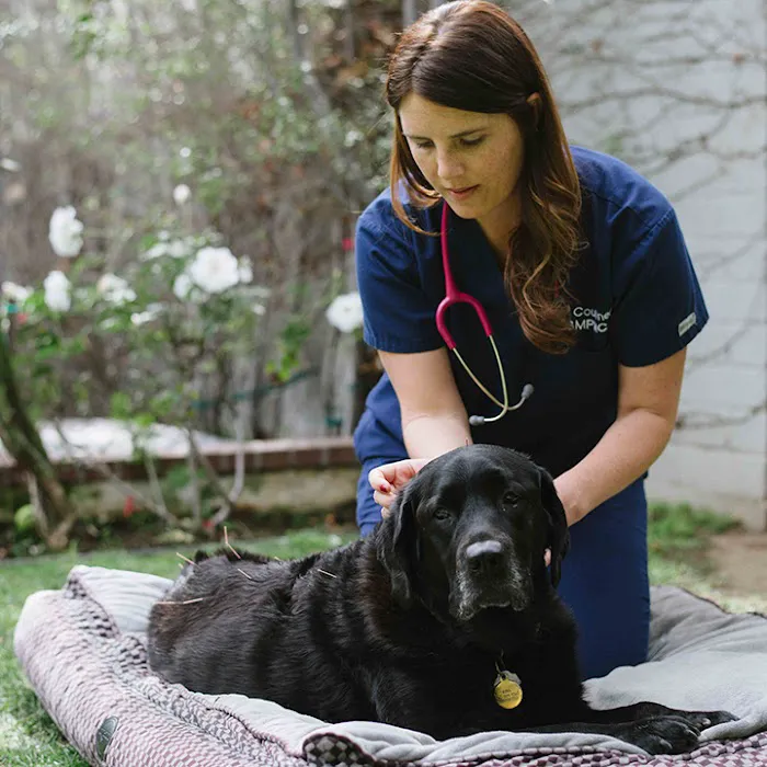 Balanced Pet Vet 12