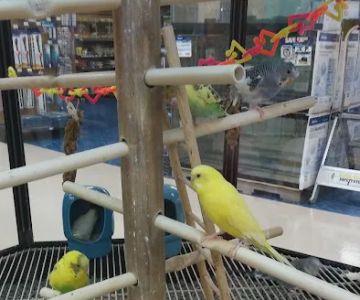 Petco