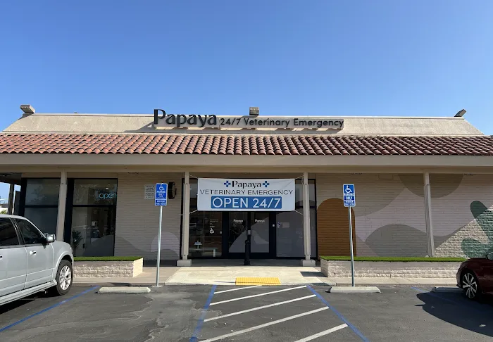 Papaya Veterinary Emergency - Encinitas 12