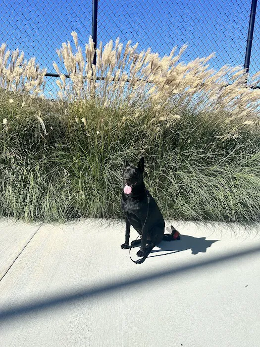 Santa Fe Animal Clinic 12