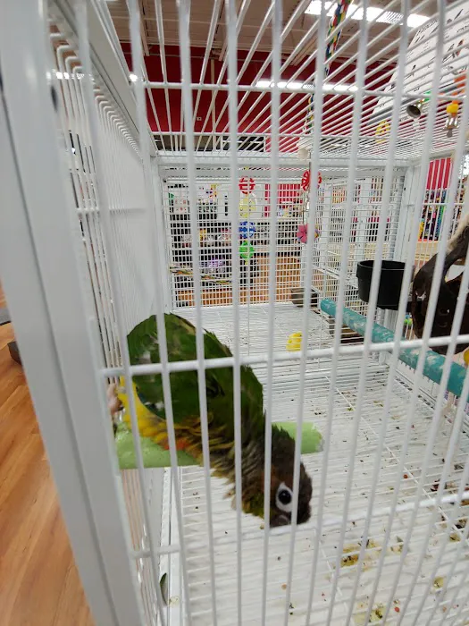 Pet Supermarket 1