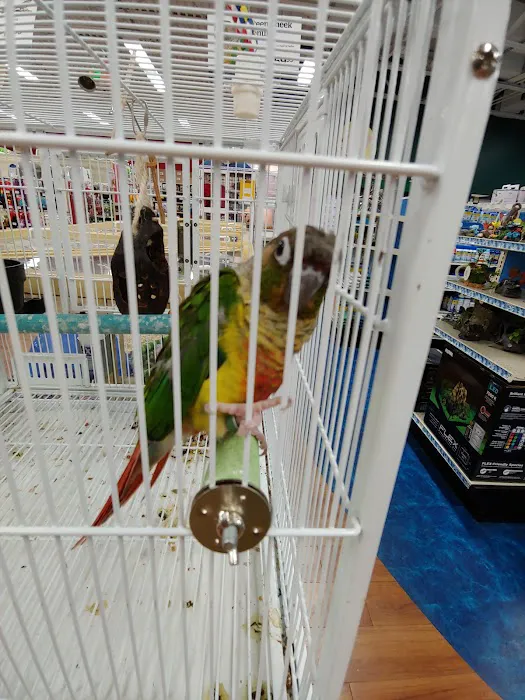 Pet Supermarket 2