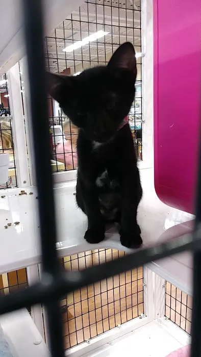 Pet Supermarket 9