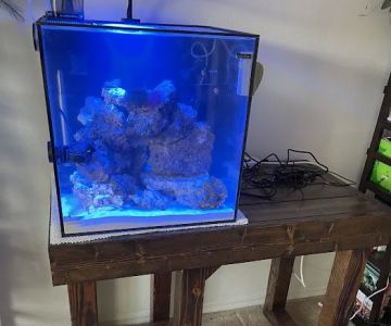 The Fish Store / Custom Aquariums