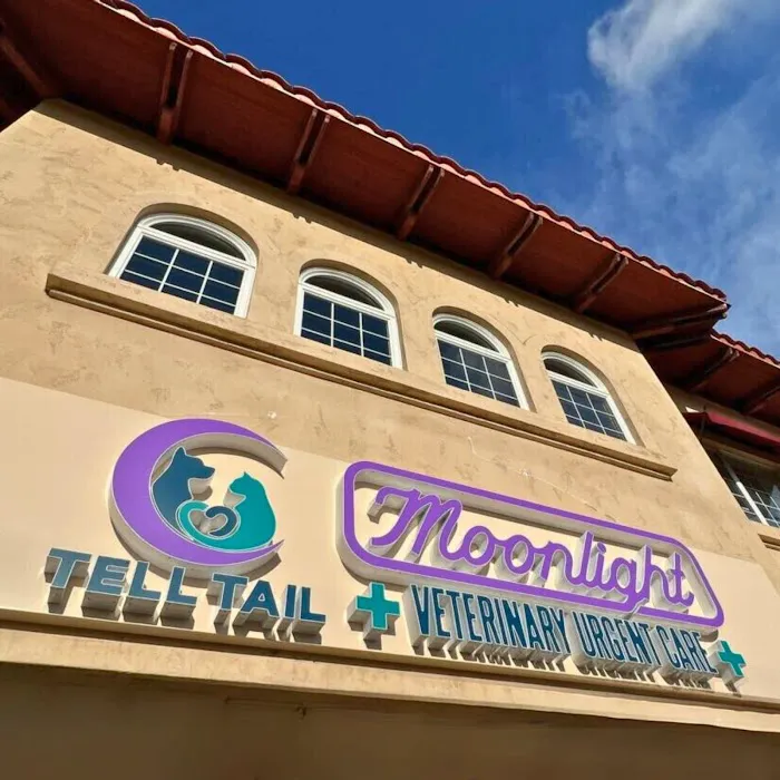 Moonlight Veterinary Center 5