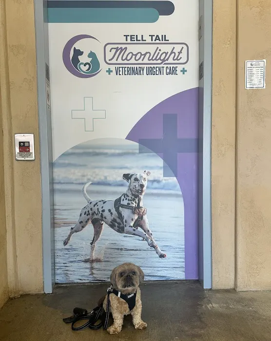 Moonlight Veterinary Center 4