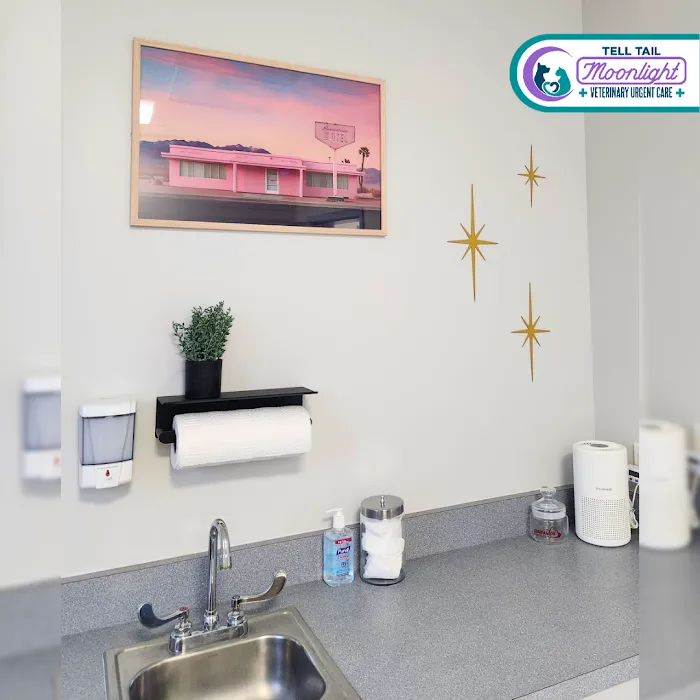 Moonlight Veterinary Center 6