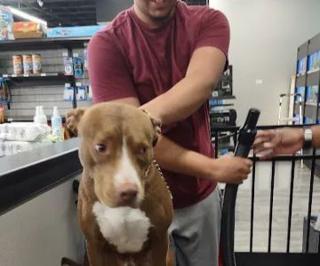 Pet Supermarket