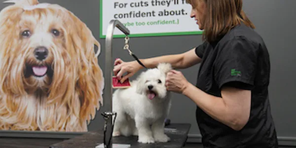 Pet Supplies Plus Port St. Lucie 5