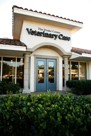 Katie Tiglio, DVM at The Drake Center for Veterinary Care 12