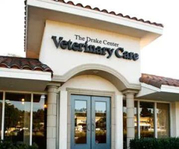 Katie Tiglio, DVM at The Drake Center for Veterinary Care