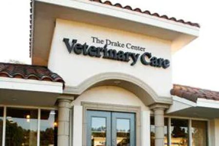 Katie Tiglio, DVM at The Drake Center for Veterinary Care