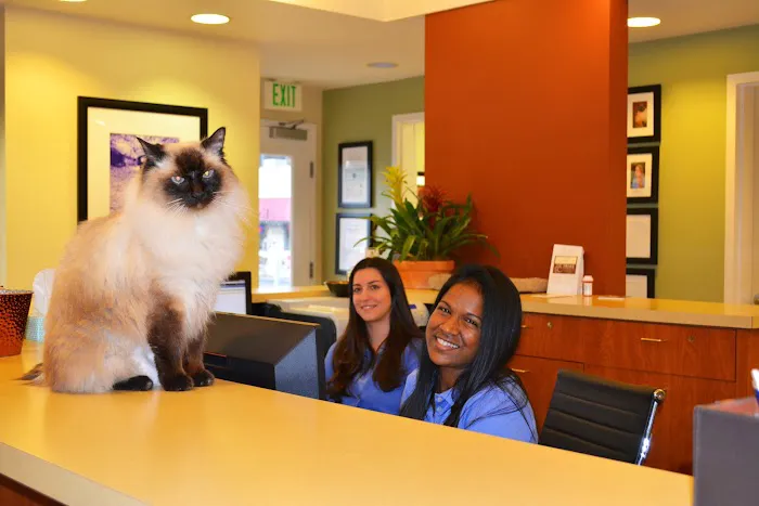 The Drake Center for Veterinary Care 4