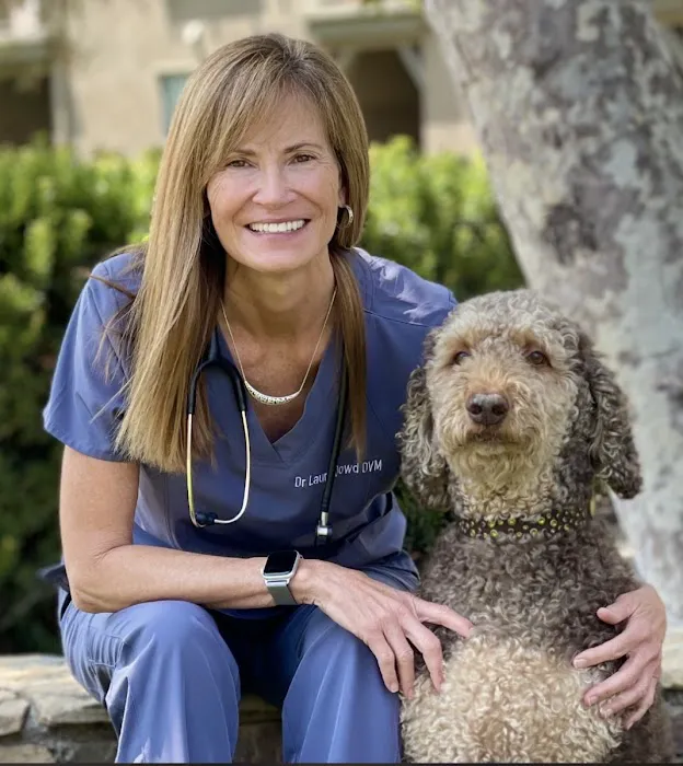 Laura Dowd DVM at The Drake Center Encinitas 2