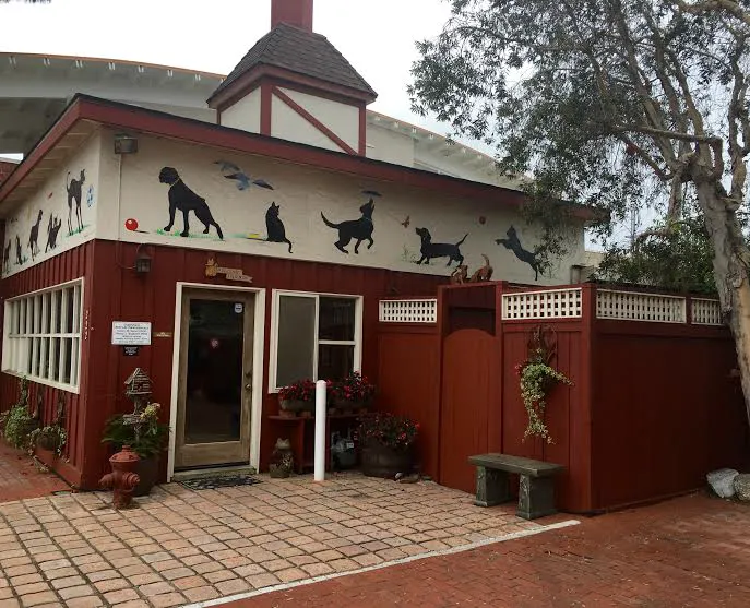 Companion Pet Care 12