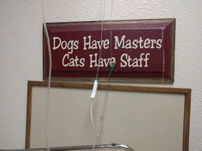 Tierramesa Veterinary Clinic 9