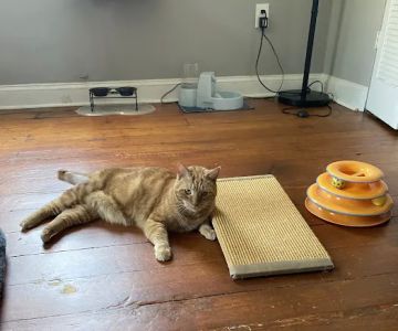 Fairmount Pet Shoppe