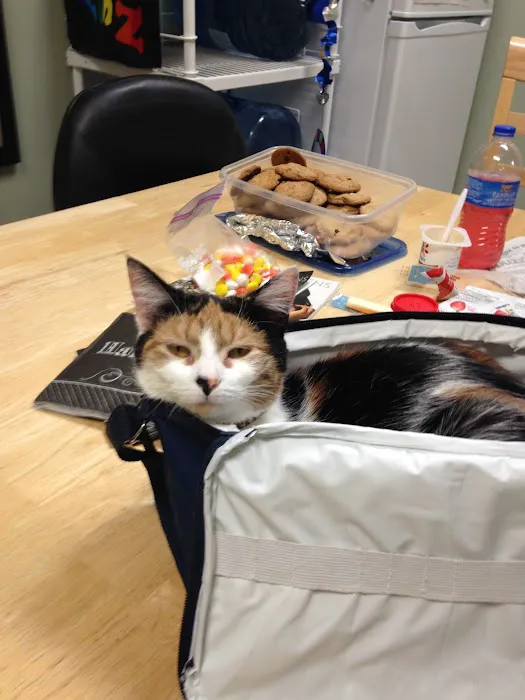 Valley Animal Hospital 12