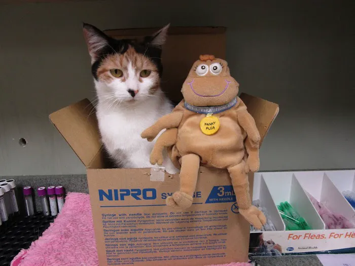 Valley Animal Hospital 12