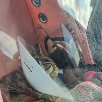 Kindred Pet Care ico