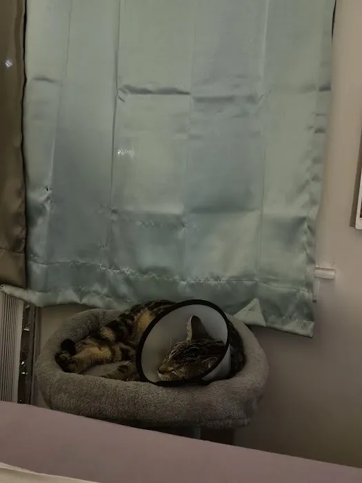 Kindred Pet Care 12