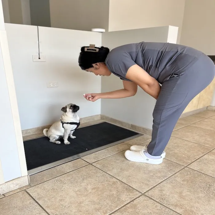 Kindred Pet Care 12