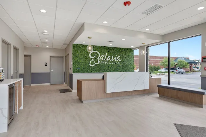 Batavia Animal Clinic 12