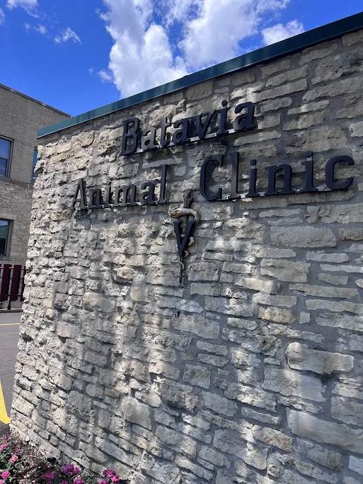 Batavia Animal Clinic 12