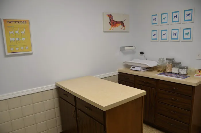 Batavia Animal Clinic 12