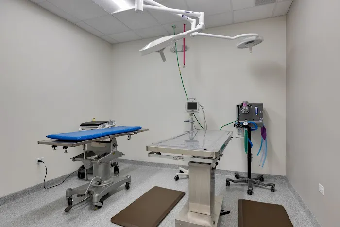 Batavia Animal Clinic 12