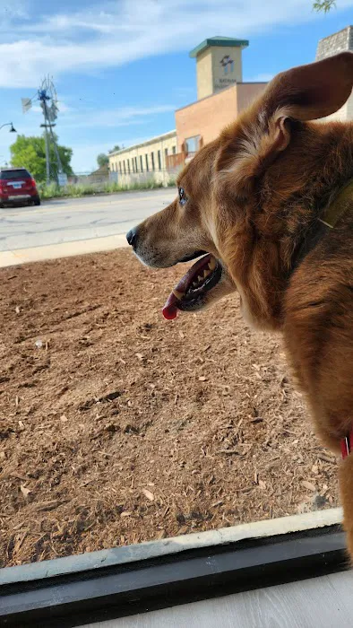Batavia Animal Clinic 12