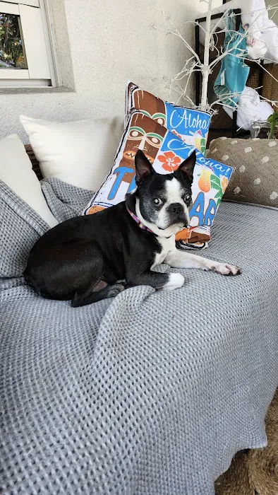 Eye Care for Animals - St Charles 12