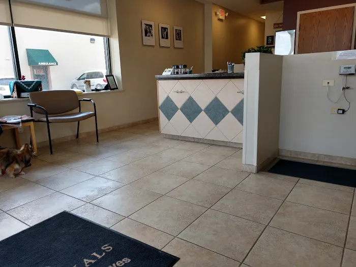 Eye Care for Animals - St Charles 12