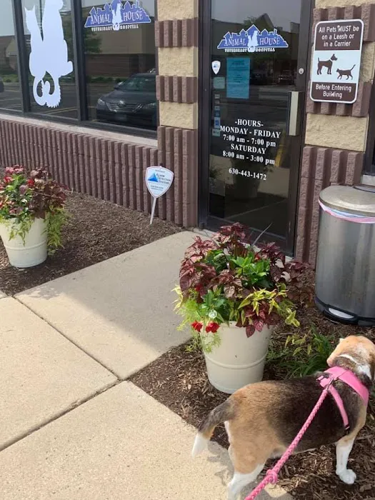 Animal House Veterinary Hospital 12