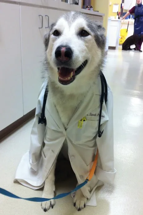 Animal House Veterinary Hospital 12
