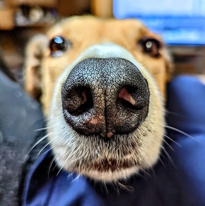 Fox Valley Veterinary Clinic 1