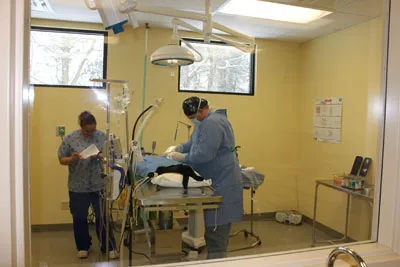 Fox Valley Veterinary Clinic 8