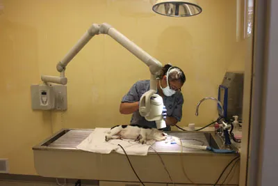 Fox Valley Veterinary Clinic 5