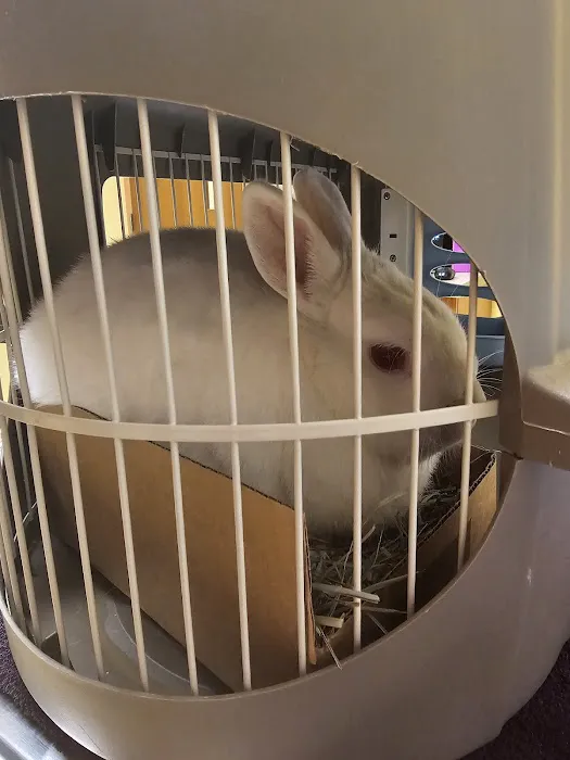 Animal House Veterinary Hospital 2