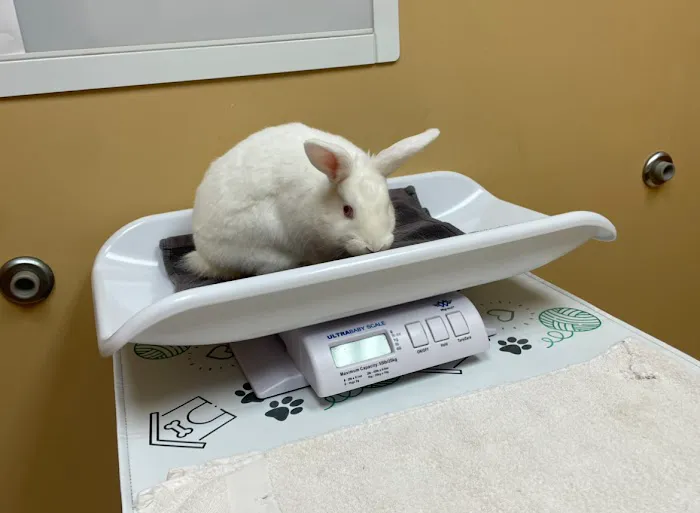Animal House Veterinary Hospital 6