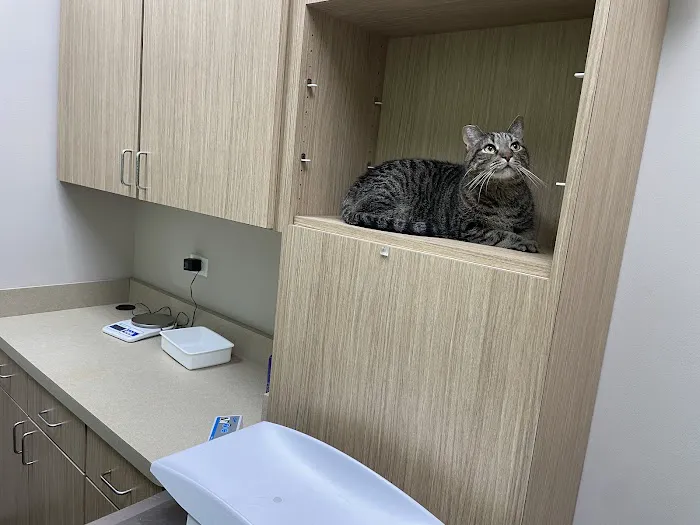 Millbrook Animal Care Clinic 12