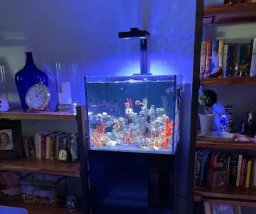 Elite Aquatic Concepts LLC